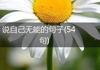 说自己无能的句子(54句)