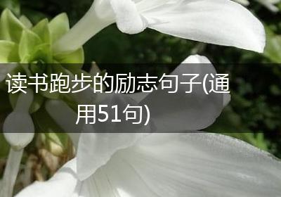 读书跑步的励志句子(通用51句)