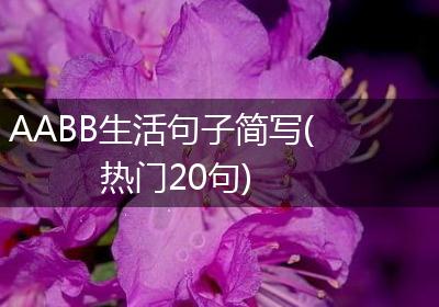 AABB生活句子简写(热门20句)