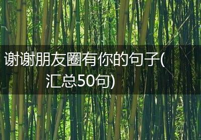 谢谢朋友圈有你的句子(汇总50句)