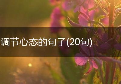 调节心态的句子(20句)