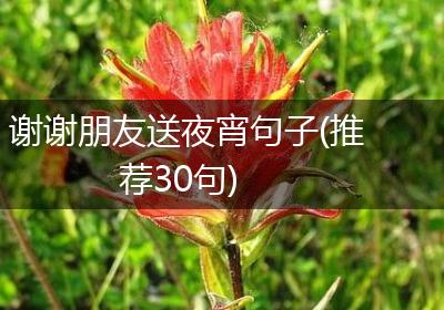谢谢朋友送夜宵句子(推荐30句)