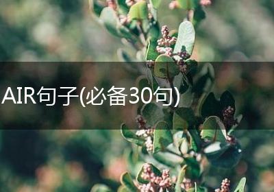 AIR句子(必备30句)