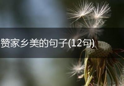赞家乡美的句子(12句)
