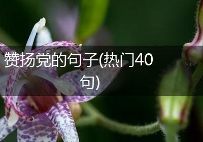 赞扬党的句子(热门40句)