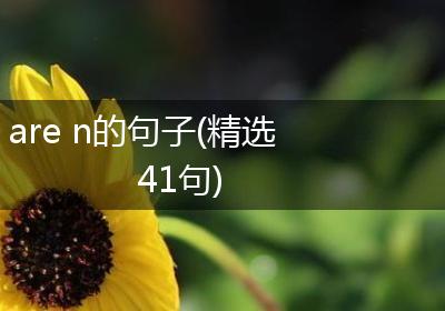 are n的句子(精选41句)