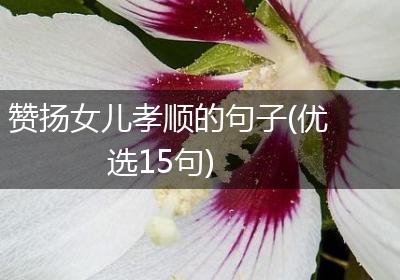 赞扬女儿孝顺的句子(优选15句)