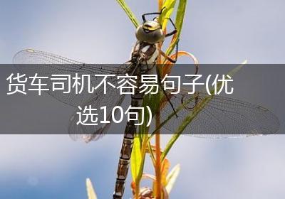 货车司机不容易句子(优选10句)