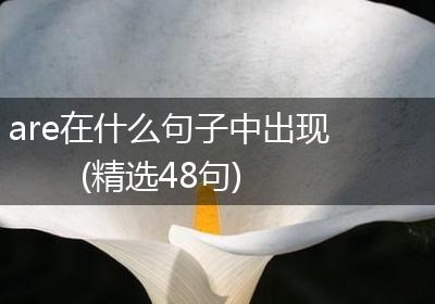 are在什么句子中出现(精选48句)