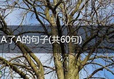A了A的句子(共60句)