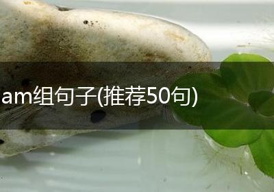 am组句子(推荐50句)