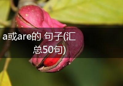 a或are的 句子(汇总50句)