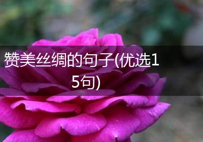 赞美丝绸的句子(优选15句)