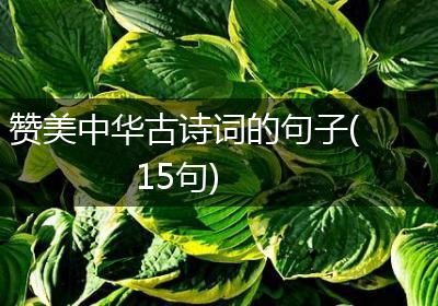 赞美中华古诗词的句子(15句)