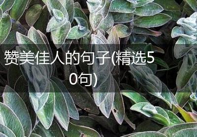 赞美佳人的句子(精选50句)