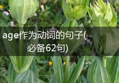age作为动词的句子(必备62句)