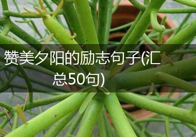 赞美夕阳的励志句子(汇总50句)