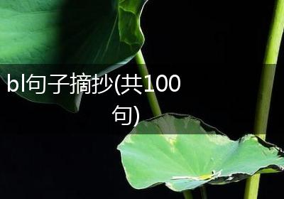 bl句子摘抄(共100句)