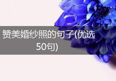 赞美婚纱照的句子(优选50句)