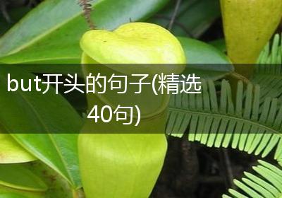 but开头的句子(精选40句)