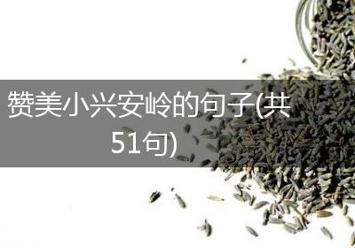 赞美小兴安岭的句子(共51句)