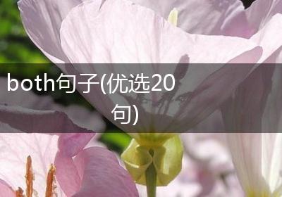 both句子(优选20句)
