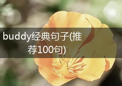 buddy经典句子(推荐100句)