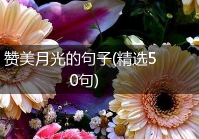 赞美月光的句子(精选50句)