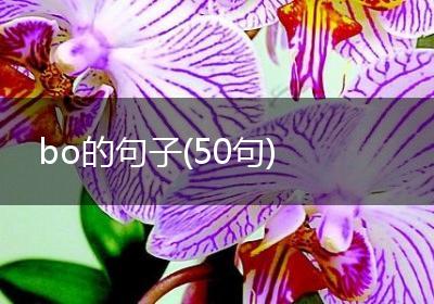 bo的句子(50句)