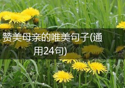 赞美母亲的唯美句子(通用24句)