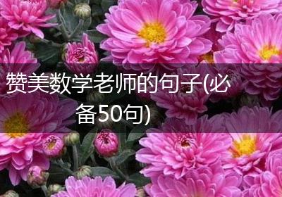 赞美数学老师的句子(必备50句)