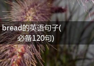 bread的英语句子(必备120句)