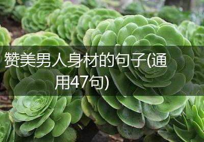 赞美男人身材的句子(通用47句)