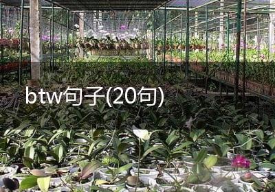 btw句子(20句)