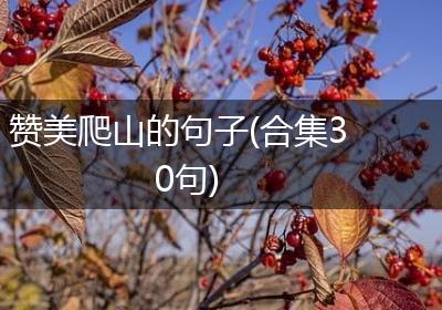 赞美爬山的句子(合集30句)