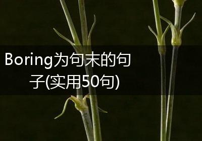 Boring为句末的句子(实用50句)