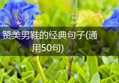 赞美男鞋的经典句子(通用50句)
