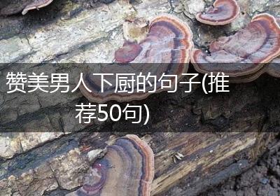 赞美男人下厨的句子(推荐50句)