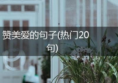 赞美爱的句子(热门20句)