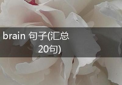brain 句子(汇总20句)