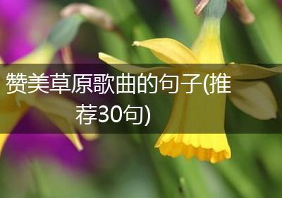 赞美草原歌曲的句子(推荐30句)