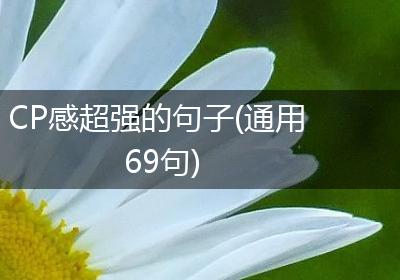 CP感超强的句子(通用69句)