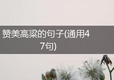 赞美高粱的句子(通用47句)