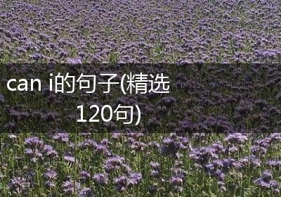 can i的句子(精选120句)