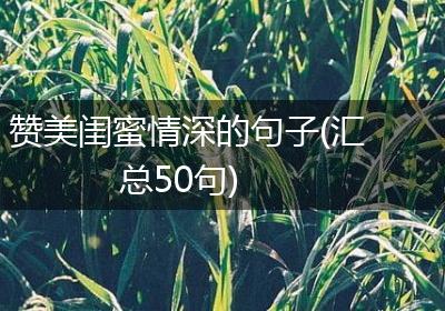 赞美闺蜜情深的句子(汇总50句)