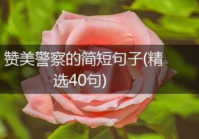 赞美警察的简短句子(精选40句)