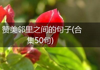 赞美邻里之间的句子(合集50句)