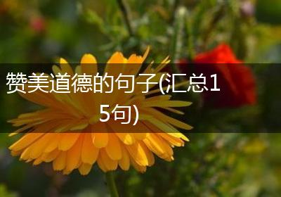 赞美道德的句子(汇总15句)