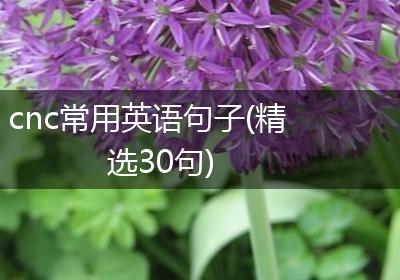 cnc常用英语句子(精选30句)