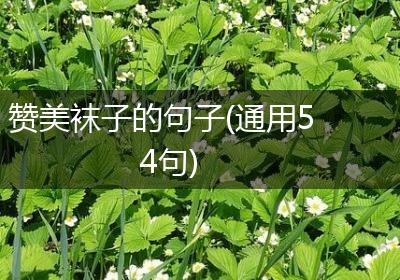 赞美袜子的句子(通用54句)